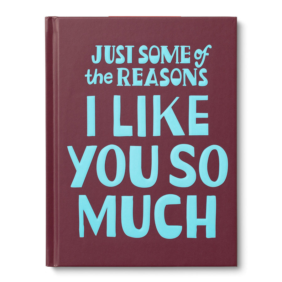 Just Some of the Reasons I Like You So Much