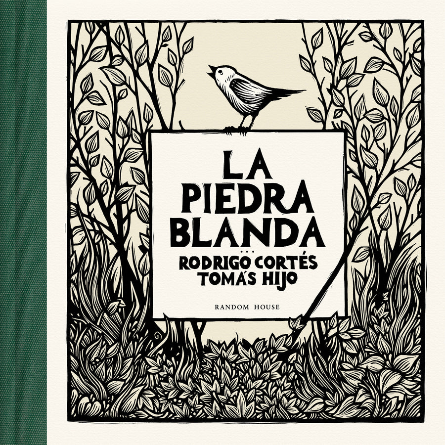 La piedra blanda / The Soft Stone