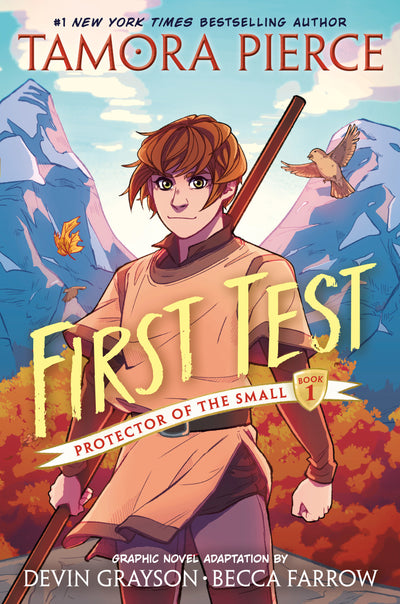 First Test Graphic Novel: (A Graphic Novel)