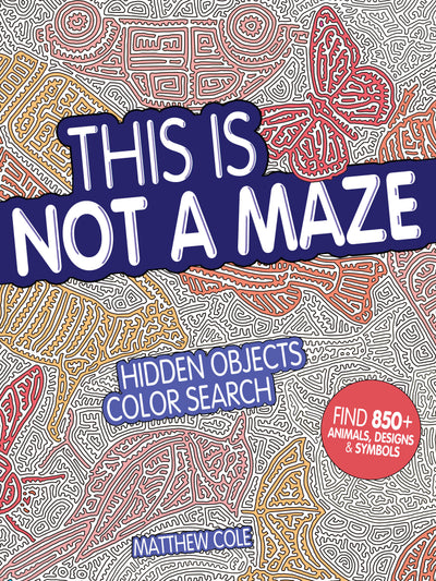 This Is Not a Maze: Hidden Objects Color Search